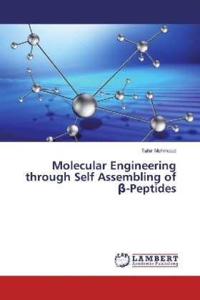Molecular Engineering through Self Assembling of beta-Peptides 