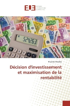 Décision d'investissement et maximisation de la rentabilité 