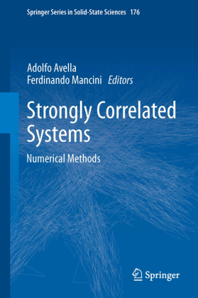 Strongly Correlated Systems 