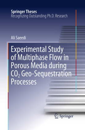 Experimental Study of Multiphase Flow in Porous Media during CO2 Geo-Sequestration Processes 