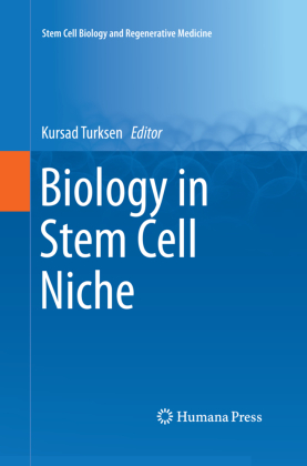Biology in Stem Cell Niche 