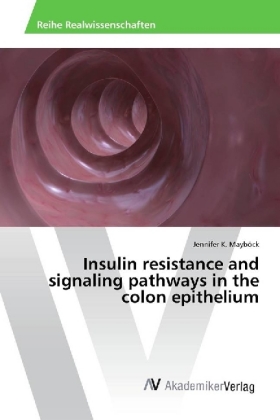 Insulin resistance and signaling pathways in the colon epithelium 