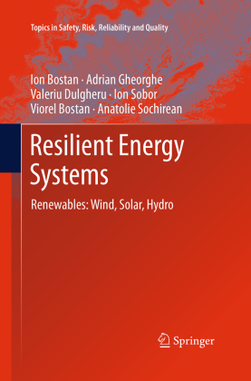 Resilient Energy Systems 