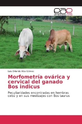 Morfometría ovárica y cervical del ganado Bos indicus 