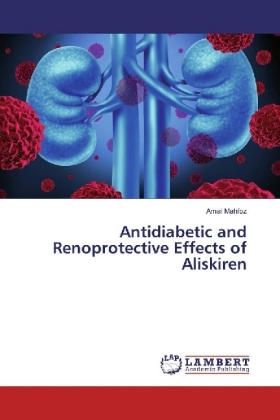 Antidiabetic and Renoprotective Effects of Aliskiren 