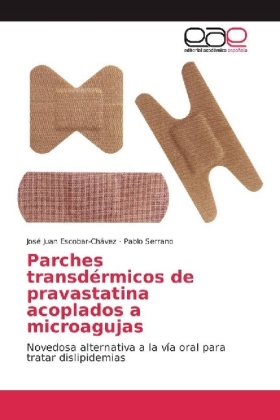 Parches transdérmicos de pravastatina acoplados a microagujas 