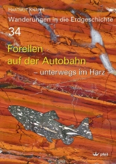 kein Cover