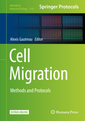 Cell Migration 