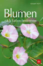 kein Cover