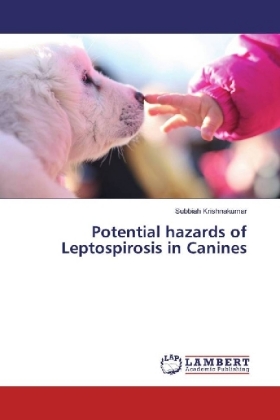 Potential hazards of Leptospirosis in Canines 