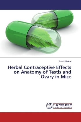 Herbal Contraceptive Effects on Anatomy of Testis and Ovary in Mice 