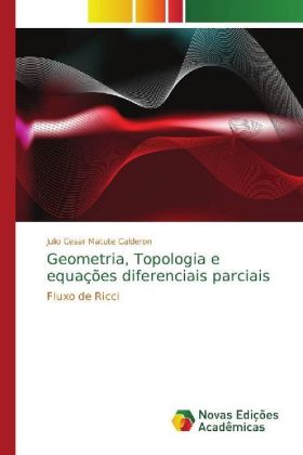 Geometria, Topologia e equações diferenciais parciais 