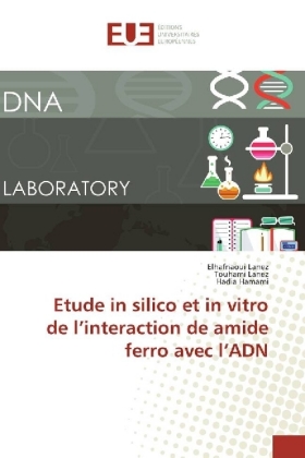 Etude in silico et in vitro de l'interaction de amide ferro avec l'ADN 