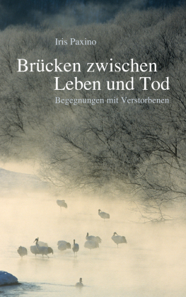 Brücken zwischen Leben und Tod 