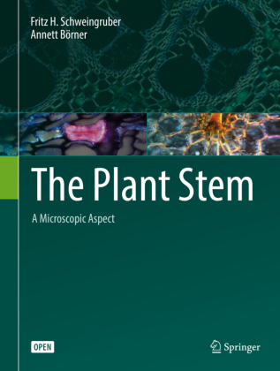 The Plant Stem 