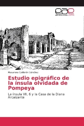 Estudio epigráfico de la ínsula olvidada de Pompeya 