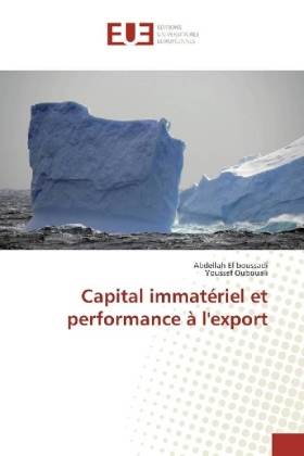 Capital immatériel et performance à l'export 