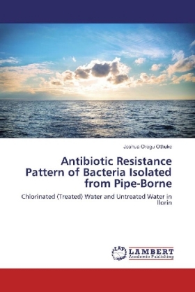 Antibiotic Resistance Pattern of Bacteria Isolated from Pipe-Borne 