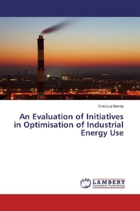 An Evaluation of Initiatives in Optimisation of Industrial Energy Use 
