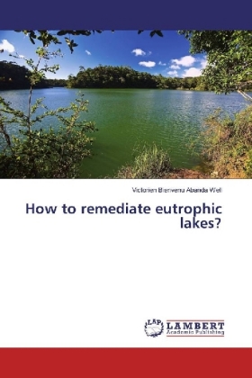 How to remediate eutrophic lakes? 