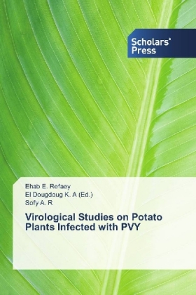 Virological Studies on Potato Plants Infected with PVY 