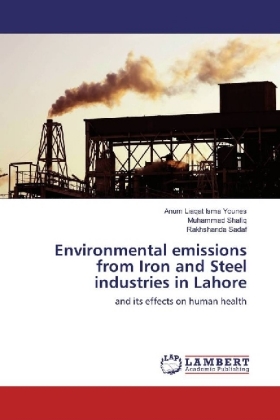 Environmental emissions from Iron and Steel industries in Lahore 