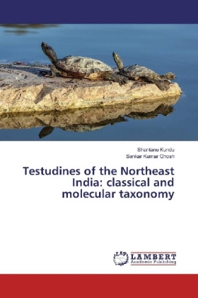 Testudines of the Northeast India: classical and molecular taxonomy 