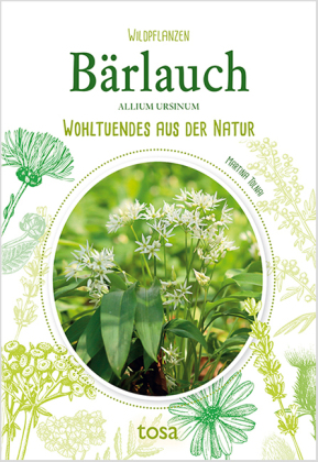 Bärlauch - Allium Ursinum