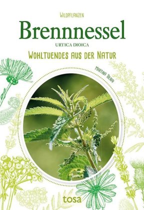 Brennessel - Urtica Dioica 