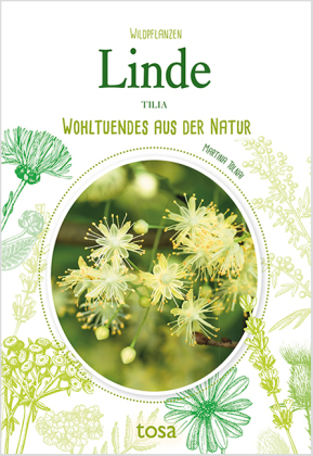 Linde - Tilia