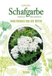 Schafgarbe - Achillea Millefolium