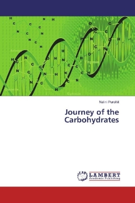 Journey of the Carbohydrates 