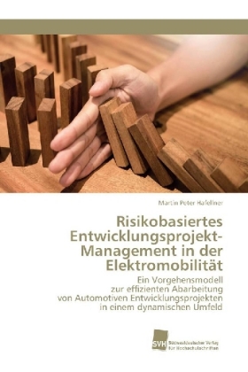 Risikobasiertes Entwicklungsprojekt-Management in der Elektromobilität 