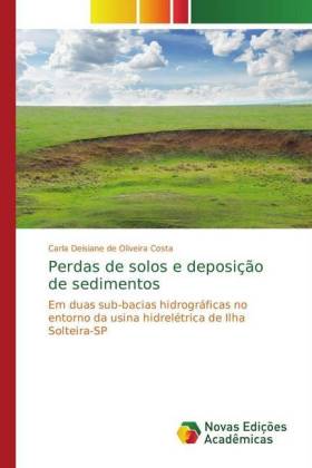 Perdas de solos e deposição de sedimentos 