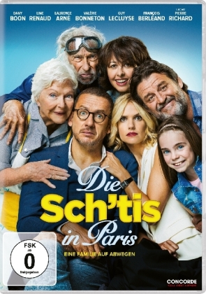 Die Sch'tis in Paris - Eine Familie auf Abwegen, 1 DVD, 1 DVD-Video