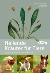 kein Cover