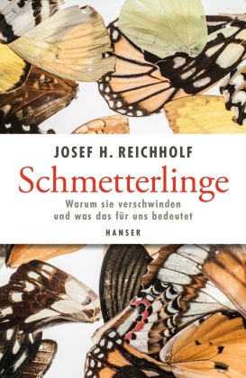 Schmetterlinge 