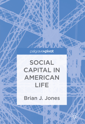 Social Capital in American Life 
