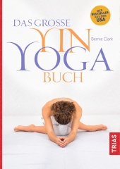 Das große Yin-Yoga-Buch Cover