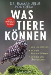 kein Cover