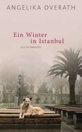 Ein Winter in Istanbul Cover