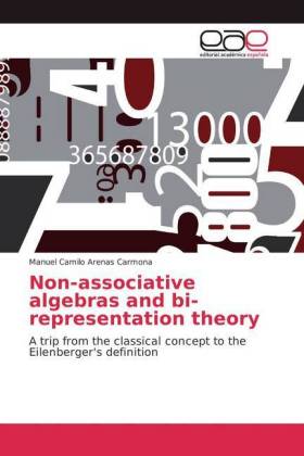 Non-associative algebras and bi-representation theory 