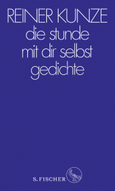 kein Cover