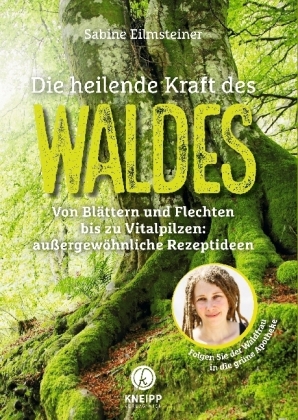 Die heilende Kraft des Waldes 