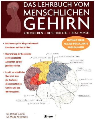 Das Lehrbuch vom menschlichen Gehirn 