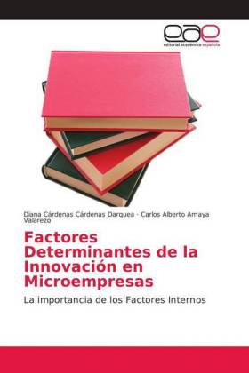 Factores Determinantes de la Innovación en Microempresas 