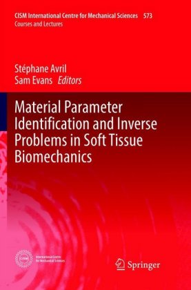 Material Parameter Identification and Inverse Problems in Soft Tissue Biomechanics 