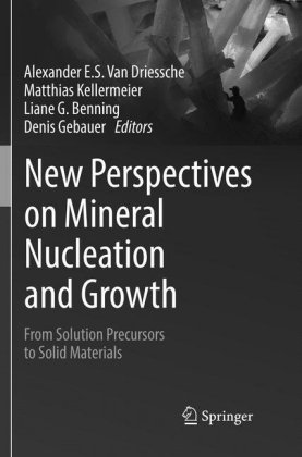 New Perspectives on Mineral Nucleation and Growth 