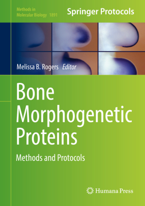 Bone Morphogenetic Proteins 
