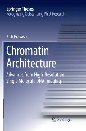 Chromatin Architecture 